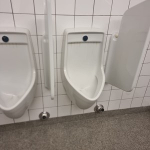 Zürich Räumung, Hausräumungen, Messie Räumung, Gratis Abholung