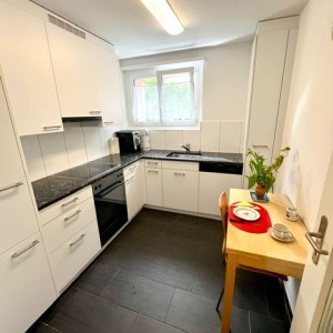 Zürich Räumung, Hausräumungen, Messie Räumung, Gratis Abholung