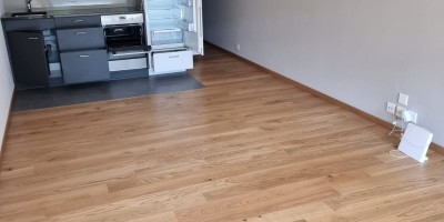 Preise für Messie Haus- & Wohnungsreinigung mit Garantie